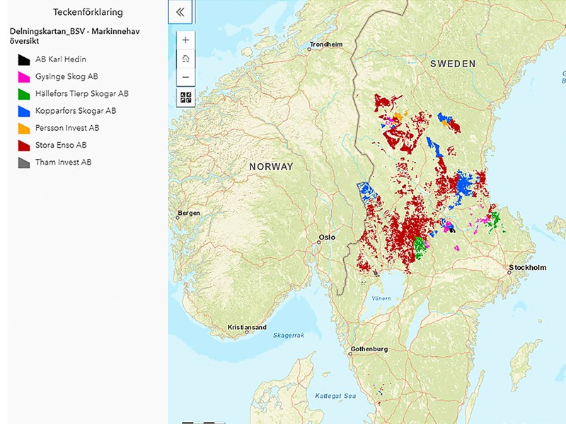 Delningskarta över Bergvik skog