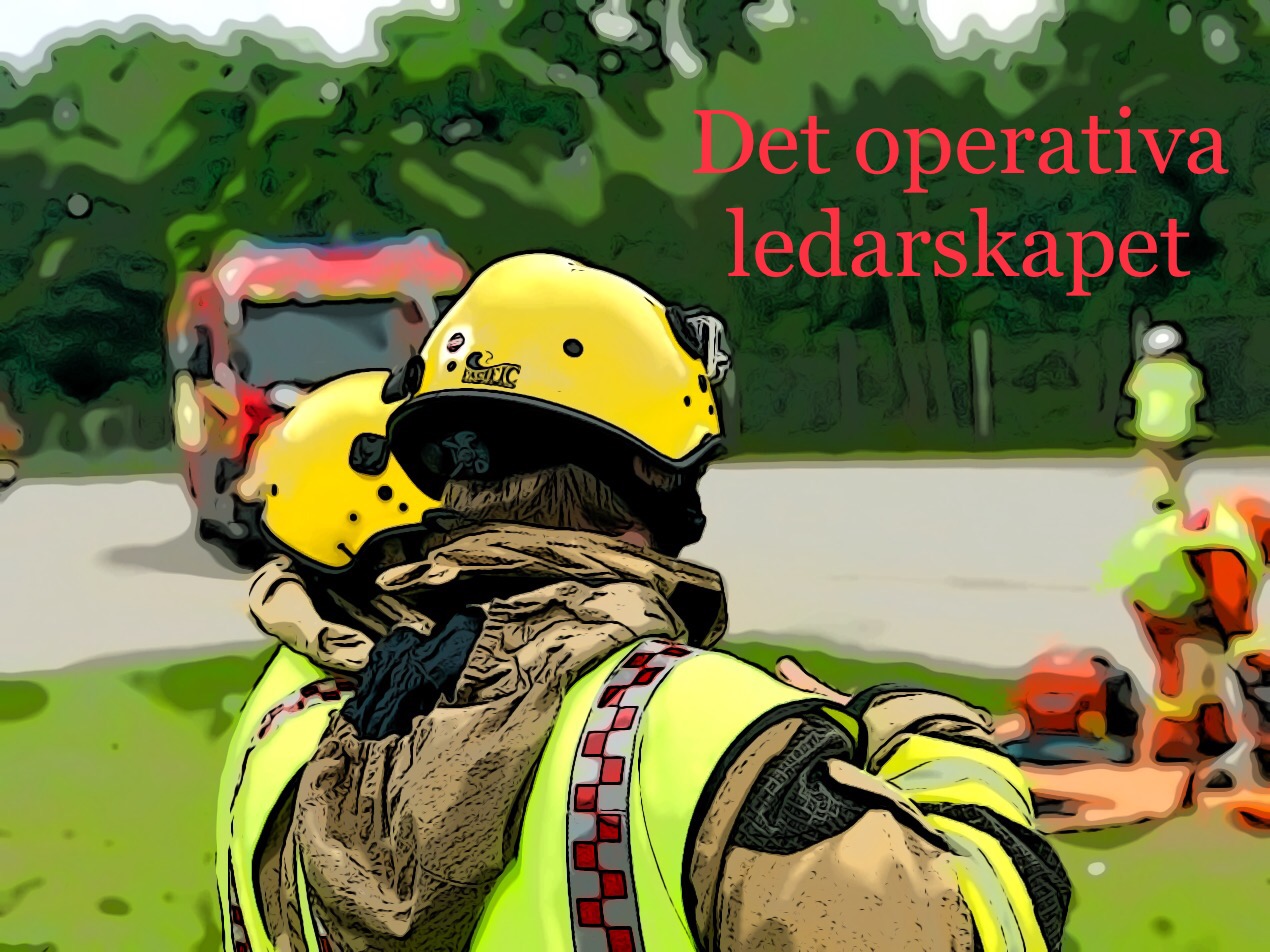 Det operativa ledarskapet.jpg